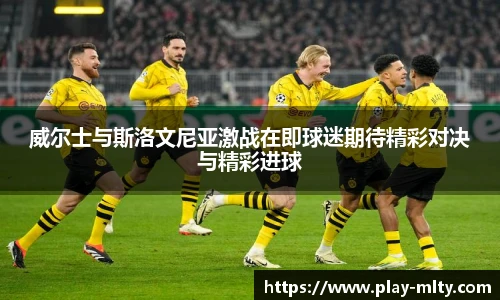 米兰体育官网