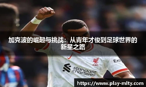 米兰体育