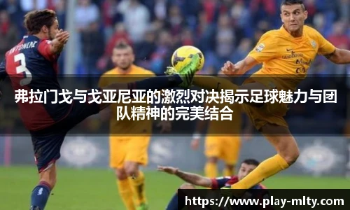 米兰体育APP